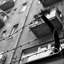 Bratislava 2011