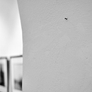 Bratislava 2011