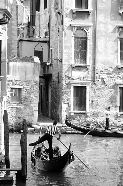 Venice 2014