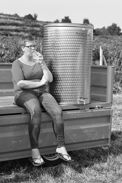 Wine and Lavender, Pezinok 2014