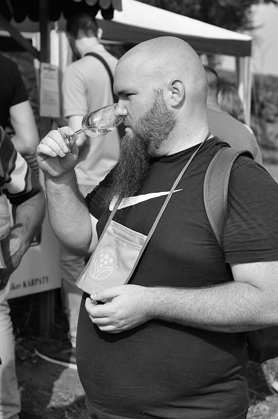Wine and Lavender, Pezinok 2014