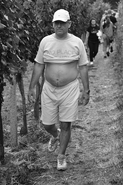 Wine and Lavender, Pezinok 2014